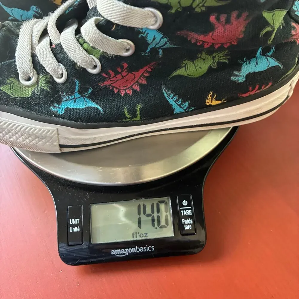 Converse Dinosaur Chuck Taylor Sneakers